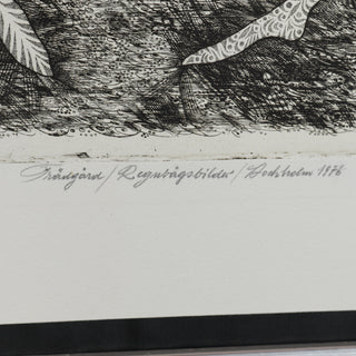 GERALD STEFFE, "Garden / Rainbow pictures / Stockholm 1976", etching, signed